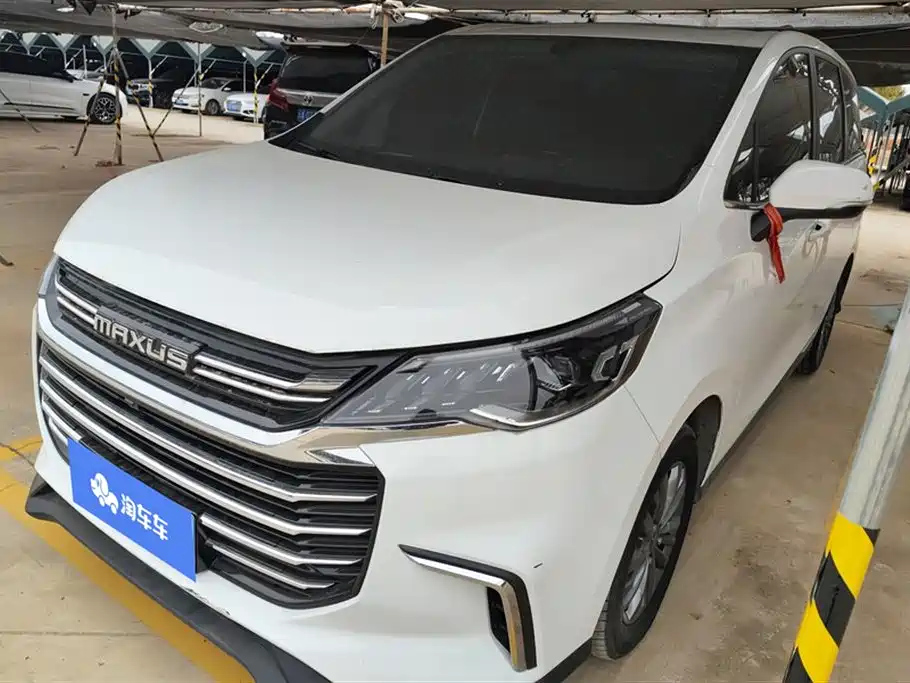 MAXUS OTHER 2020