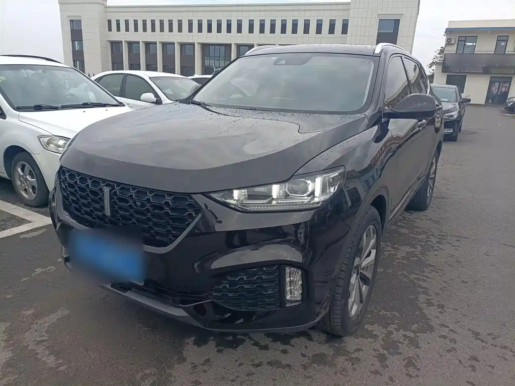 WEY VV6 2019