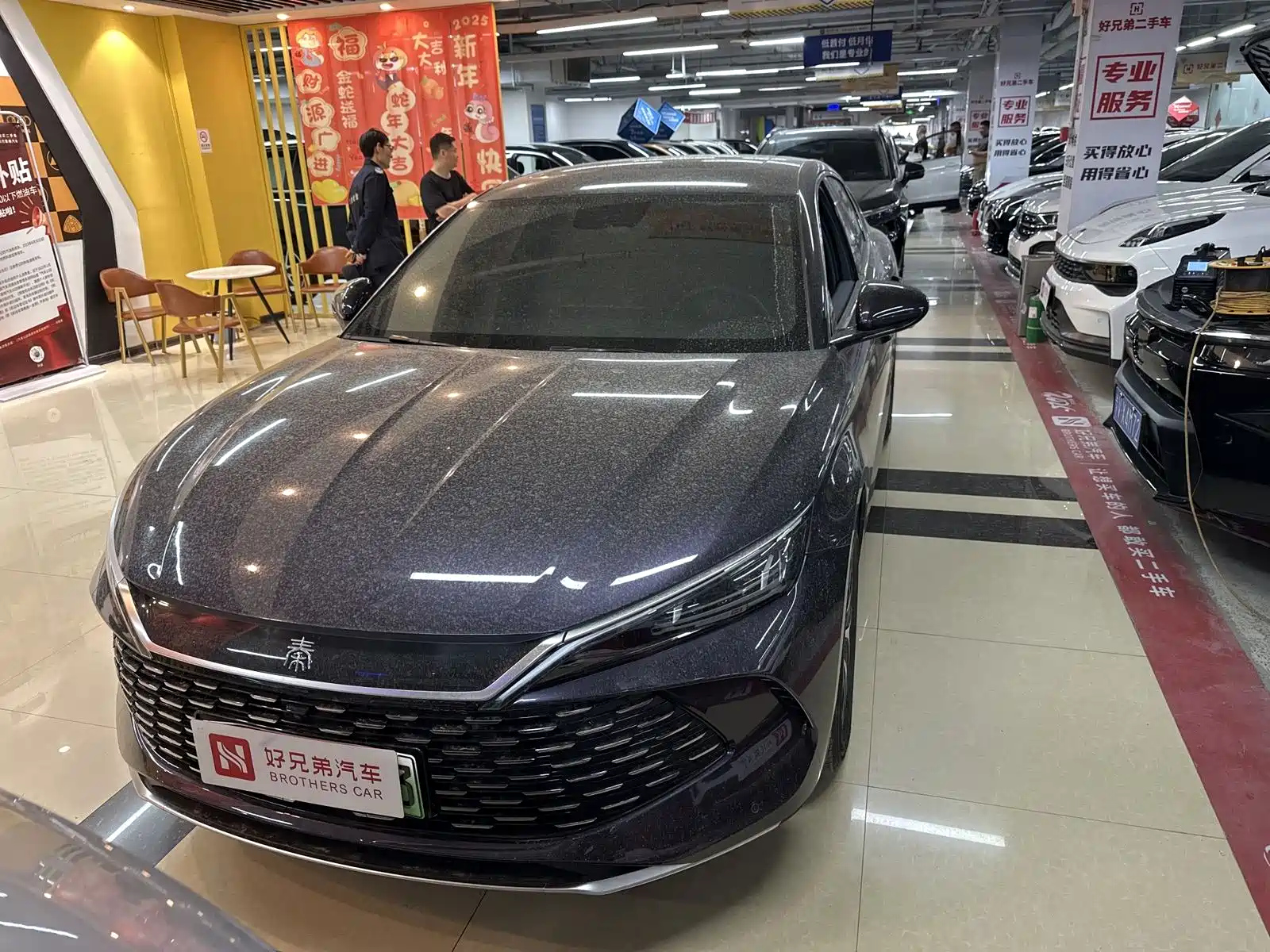 BYD QIN L 2024