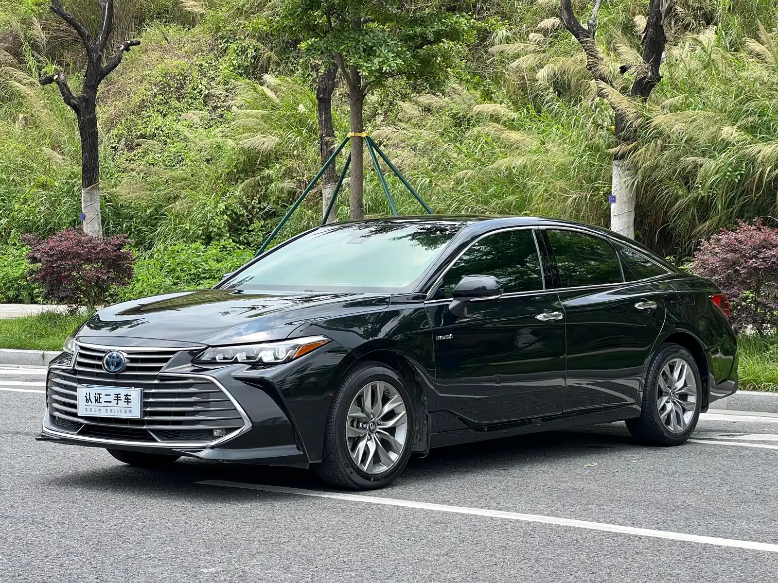 TOYOTA AVALON 2019