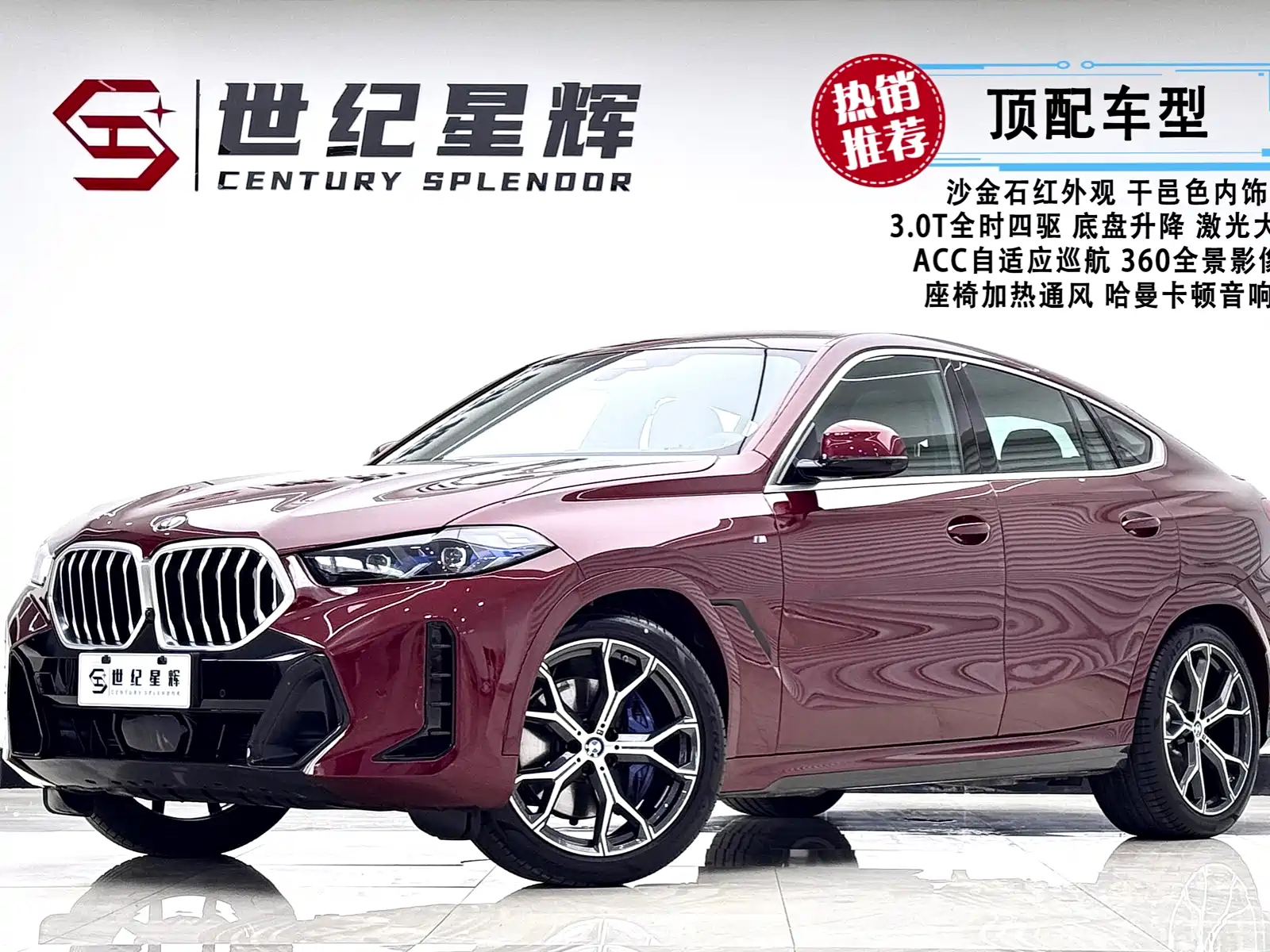 BMW X6 2023