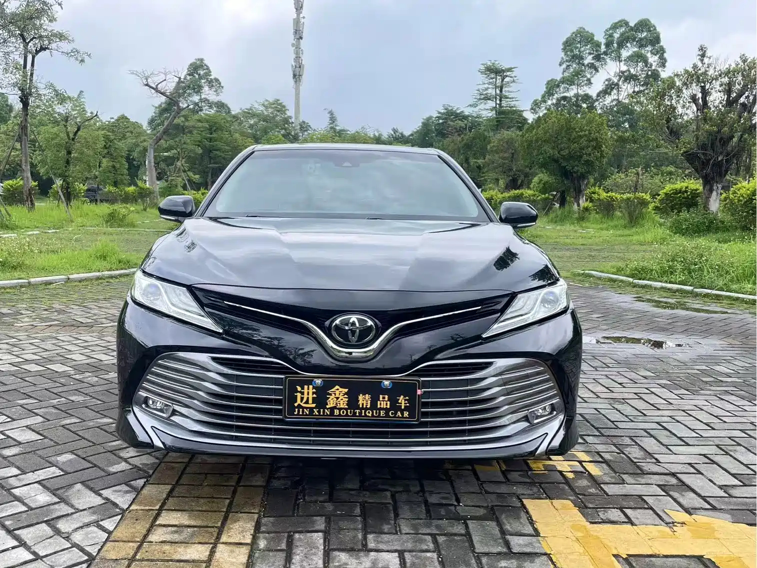 TOYOTA CAMRY 2019