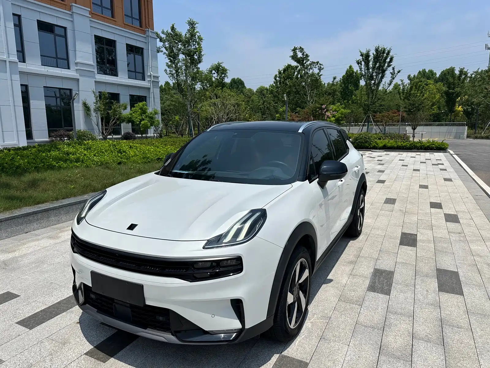 LYNK 06 2020