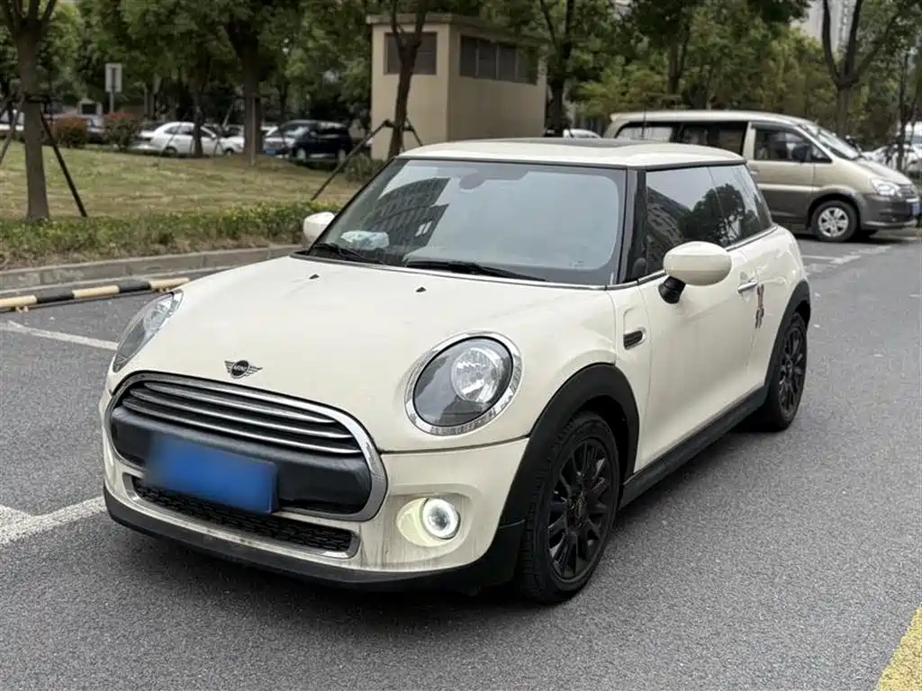 MINI OTHER 2019