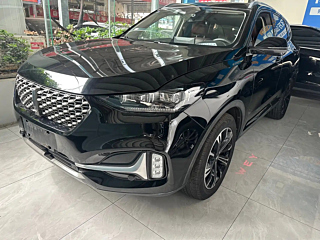 wey vv6