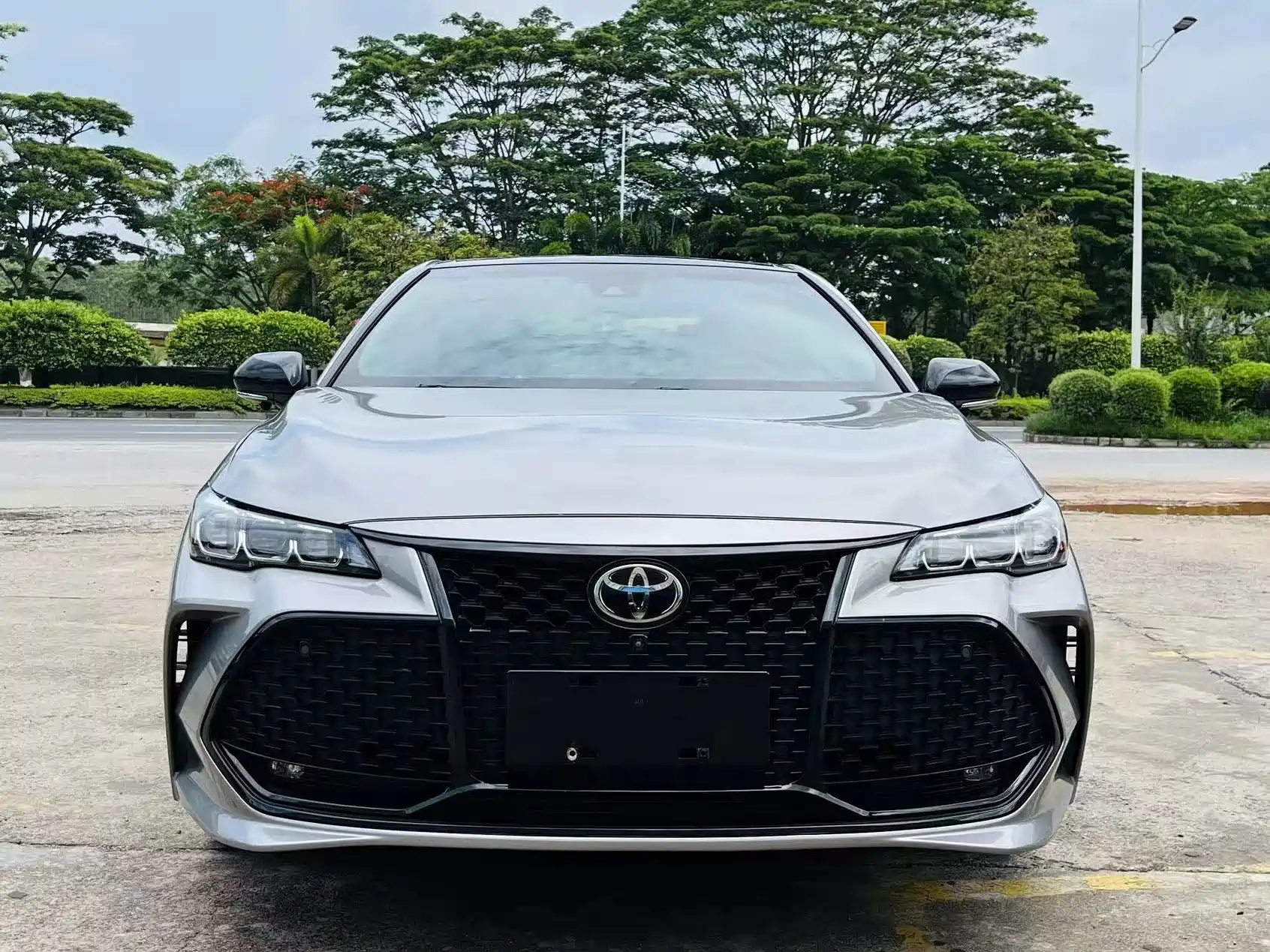 TOYOTA AVALON 2019