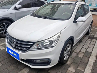 bao-jun 310