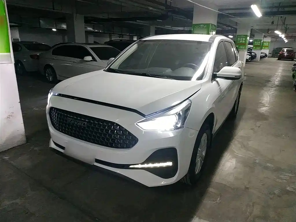 HAVAL M6 2019