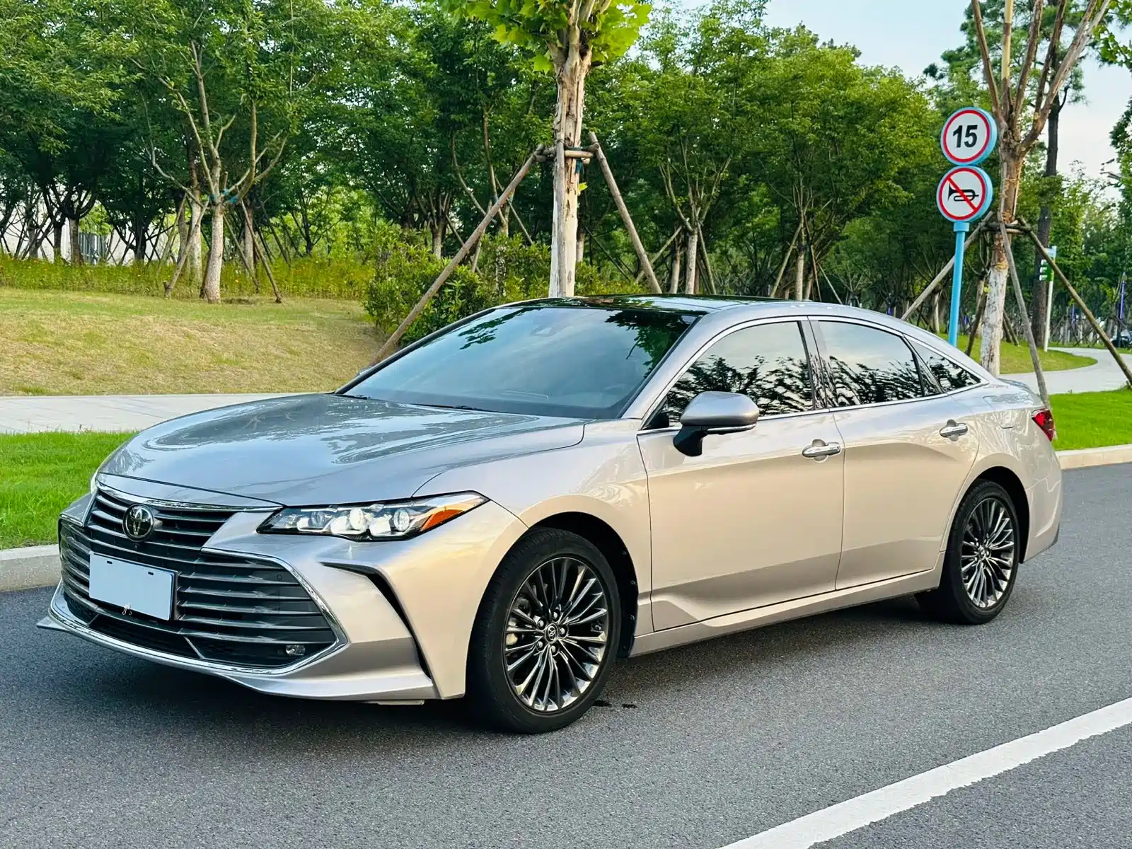 TOYOTA AVALON 2019
