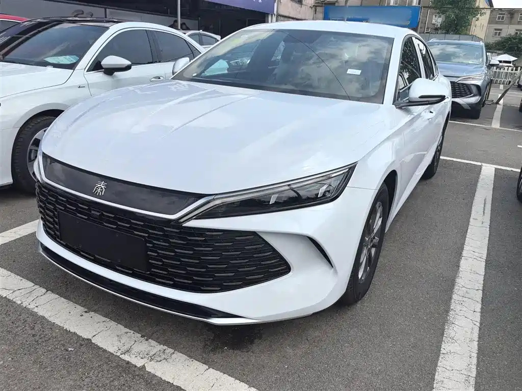BYD QIN L 2024