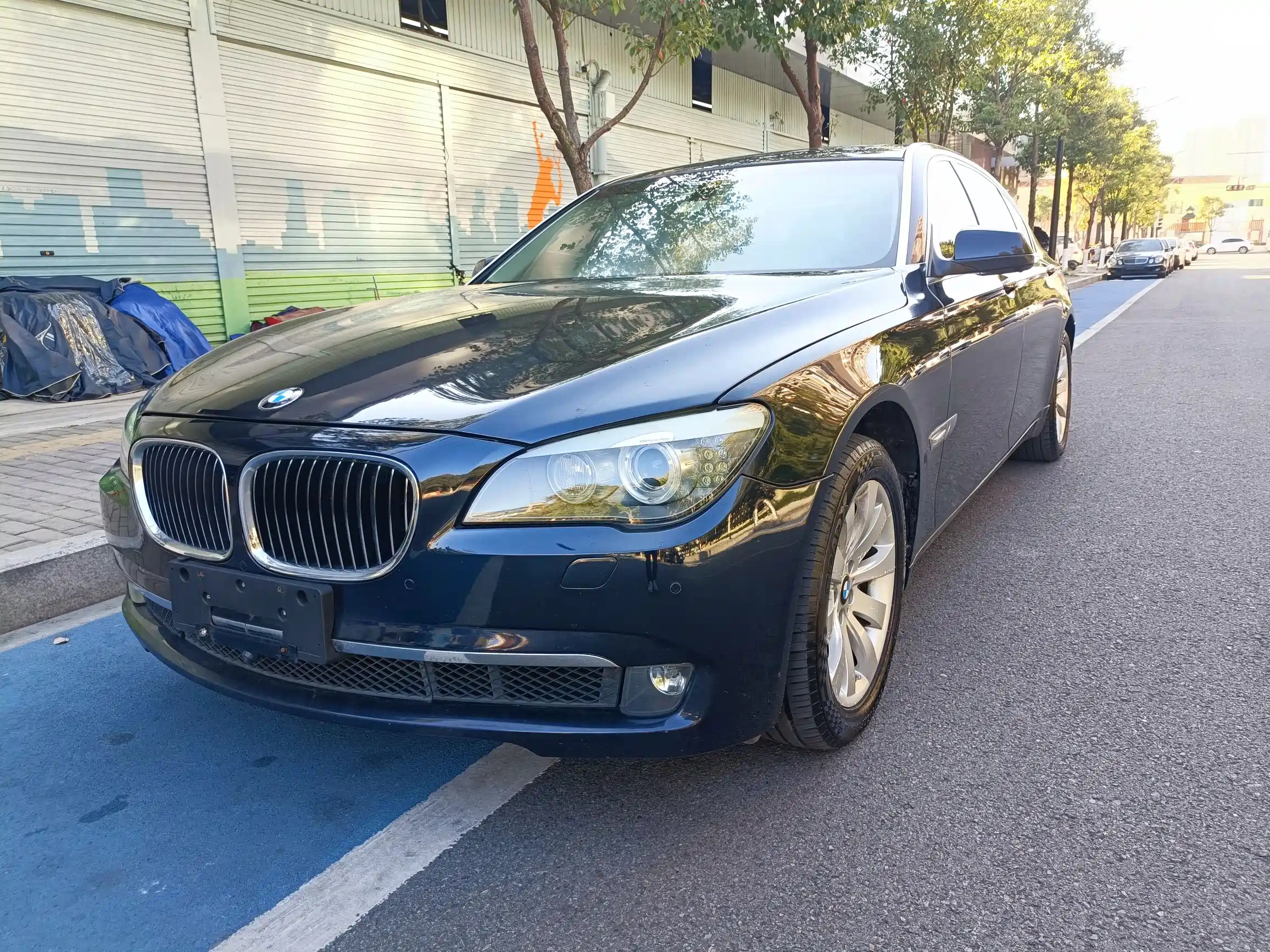 BMW 7-SERIES 2009