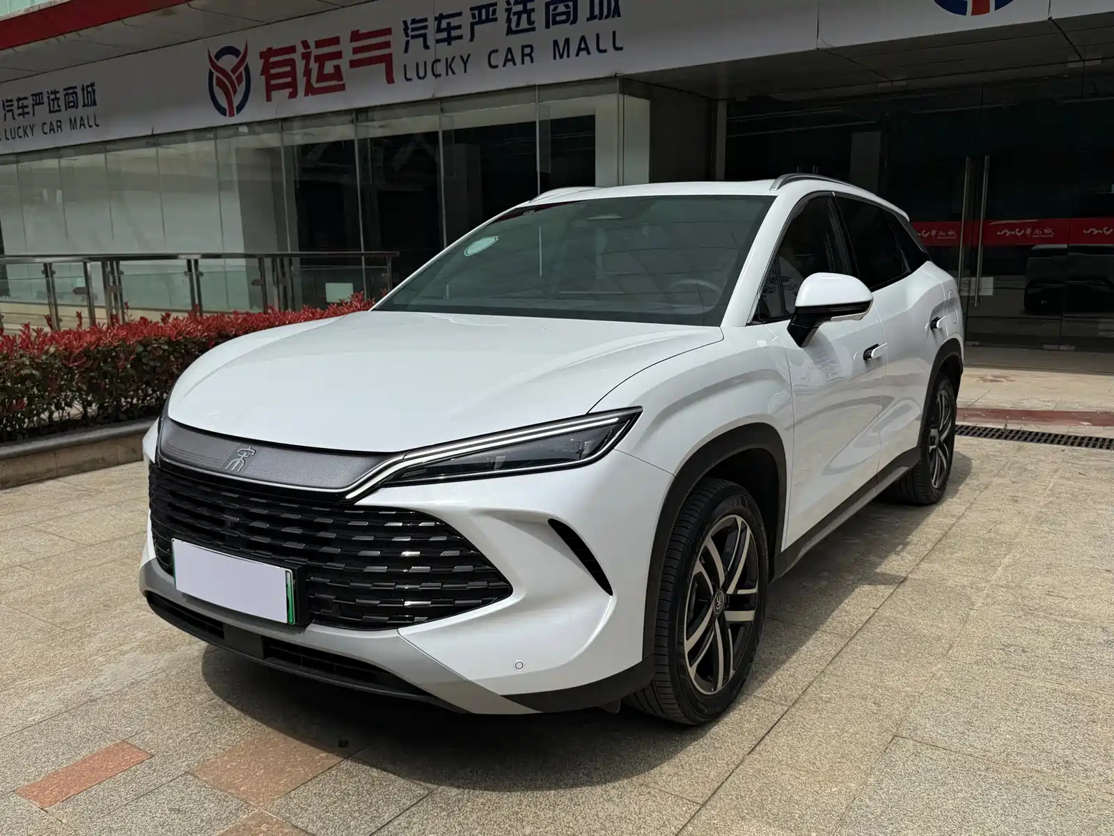 BYD SONG L DM-I 2024