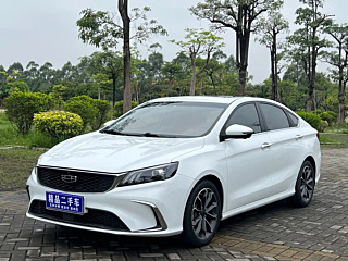 geely-auto binrui