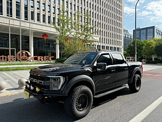 ford other
