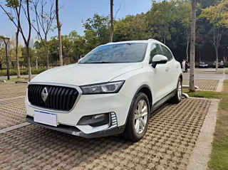 Заказать BORGWARD BX5