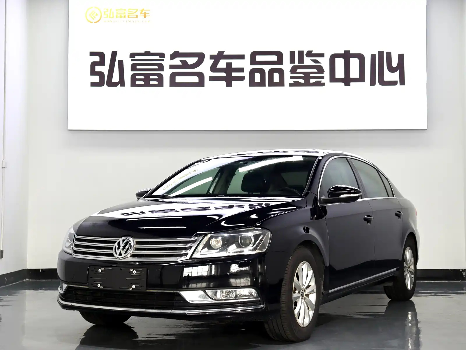 VOLKSWAGEN MAGOTAN 2012