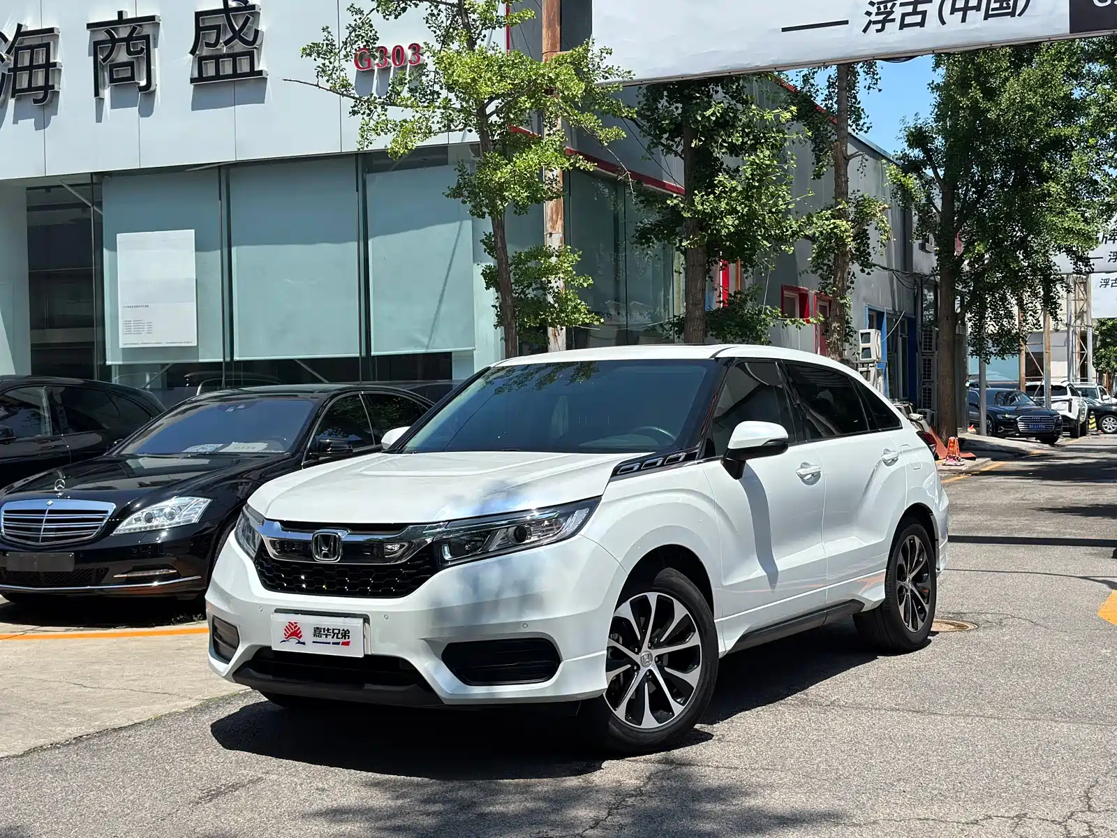 HONDA AVANCIER 2017