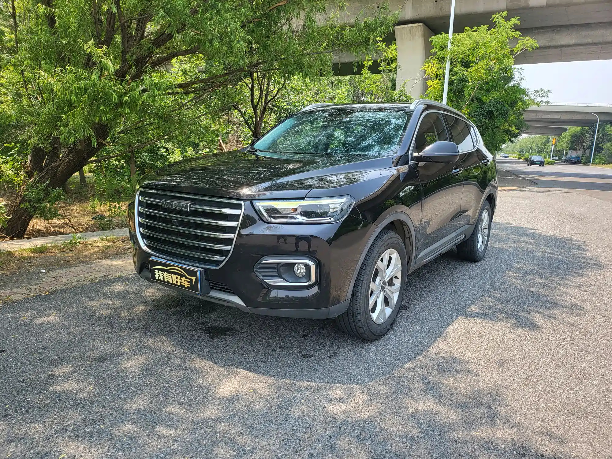 HAVAL H6 2019