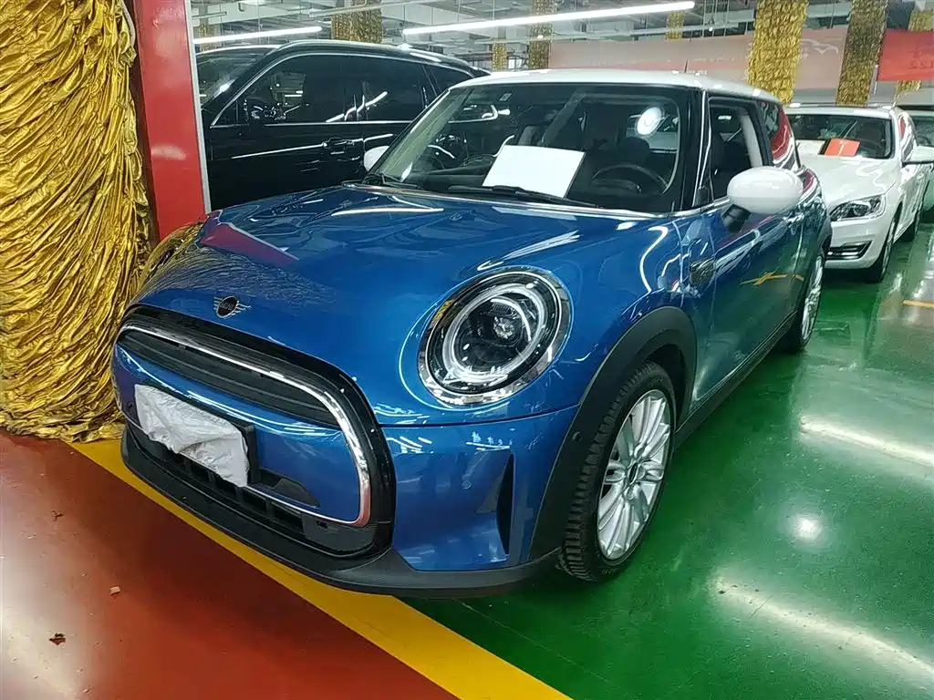 MINI OTHER 2022