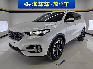 wey vv6