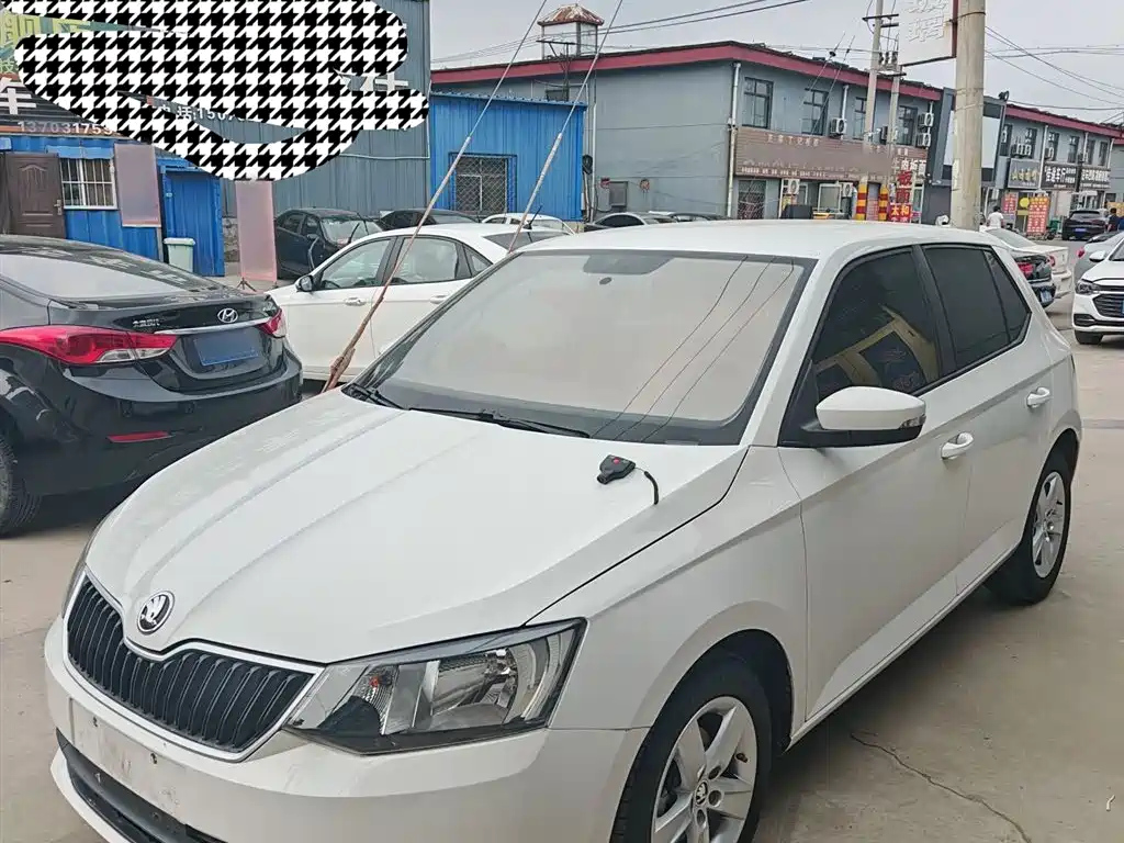 SKODA FASCIA 2016