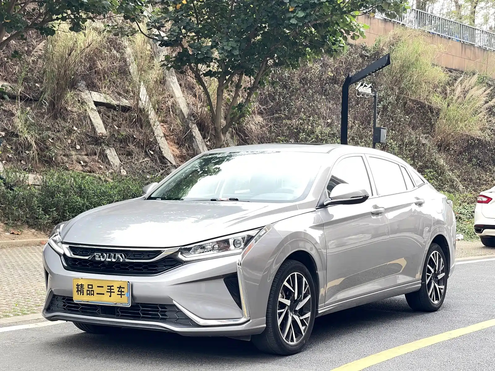 DONGFENG AEOLUS 2020