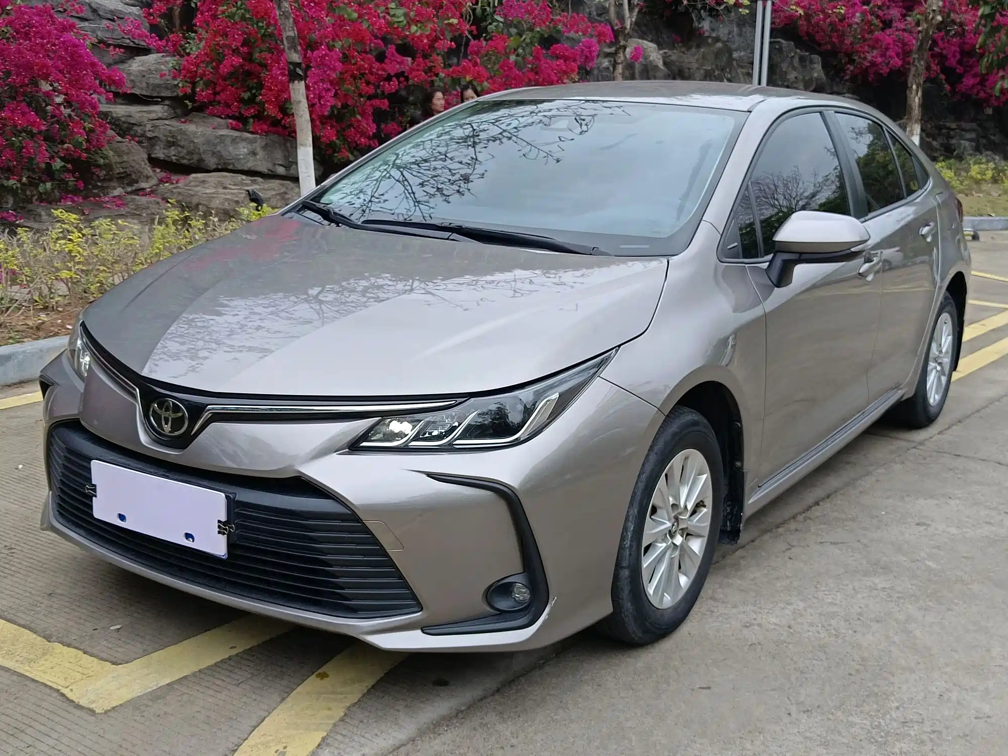 TOYOTA COROLLA 2019