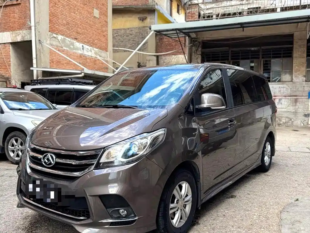 MAXUS OTHER 2019