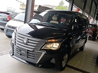 Заказать DONGFENG LINGZHI