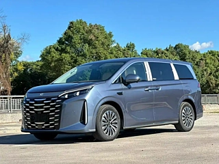 BYD &#22799;  2025