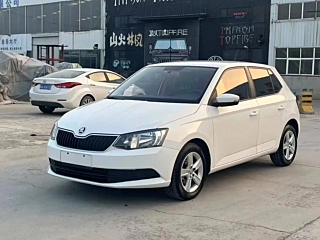 SKODA FASCIA 2016