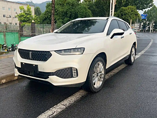 WEY VV7  2017