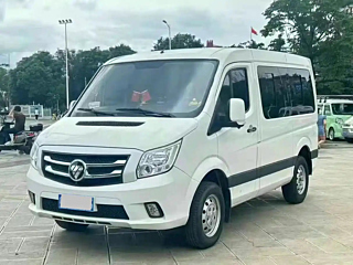 FOTON OTHER  2024