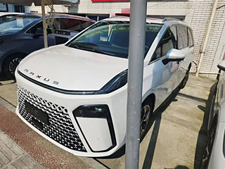MAXUS OTHER 2024