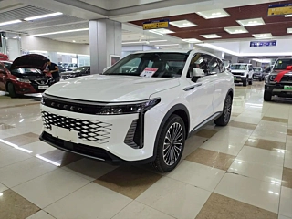 Заказать EXEED YAOGUANG C-DM