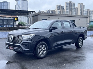 Заказать GREAT WALL POER