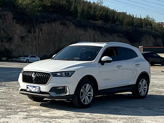 Заказать BORGWARD BX5
