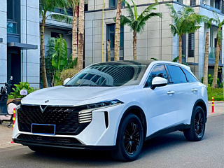 Заказать VENUCIA BIG V