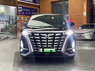 Заказать DENZA D9