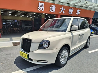 Заказать LEVC TX