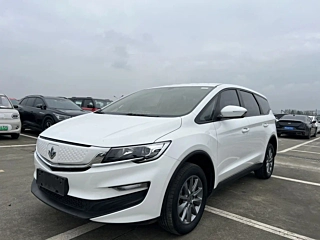 Заказать LIVAN 枫叶80V