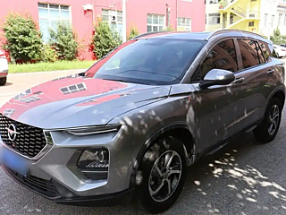 Заказать HAMA 8S