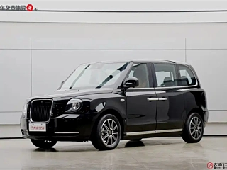 Заказать LEVC TX