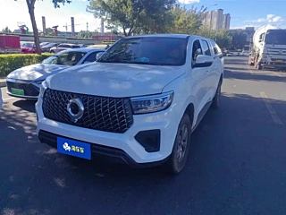 Заказать GREAT WALL CANNON