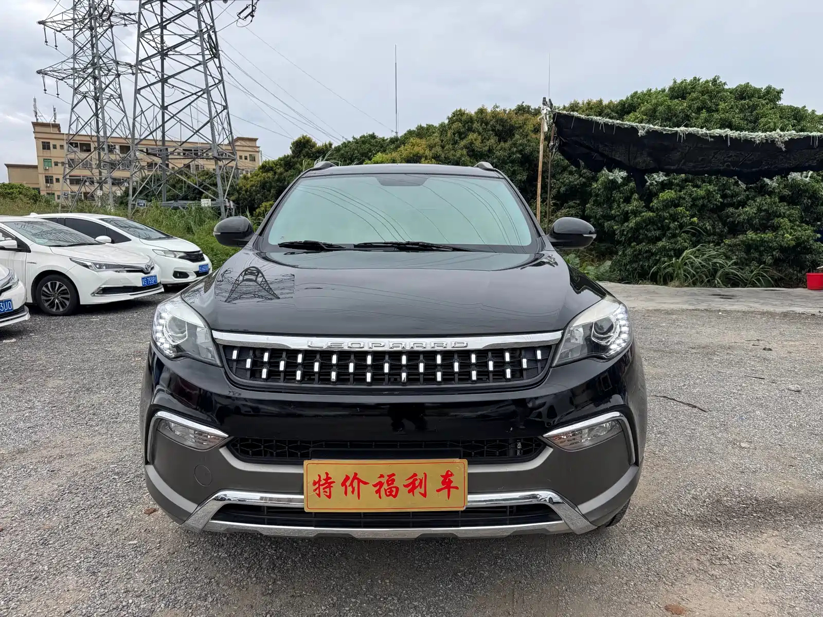 Аукционный лист LEOPAARD CS10 2019