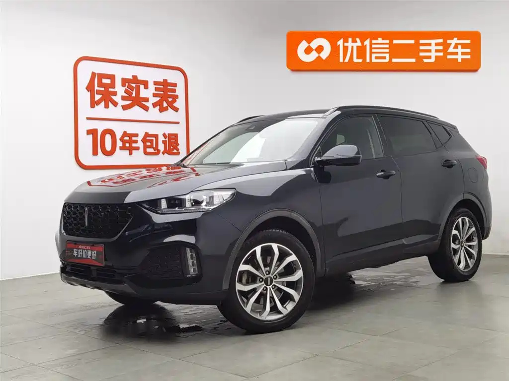 WEY VV6
