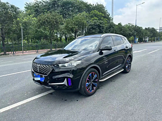 wey vv6