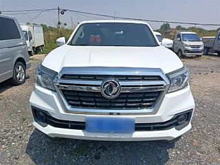 dongfeng other