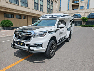 dongfeng other