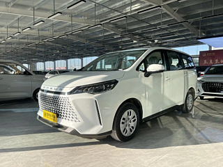 maxus other